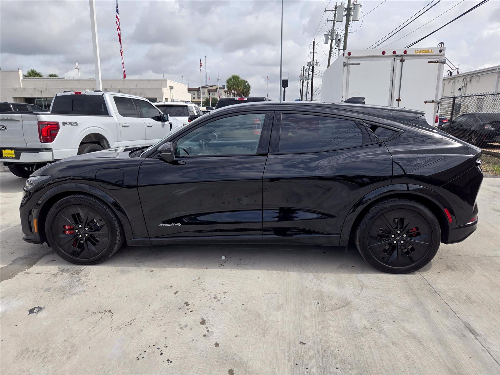 2025 Ford Mustang Mach-E — detail view